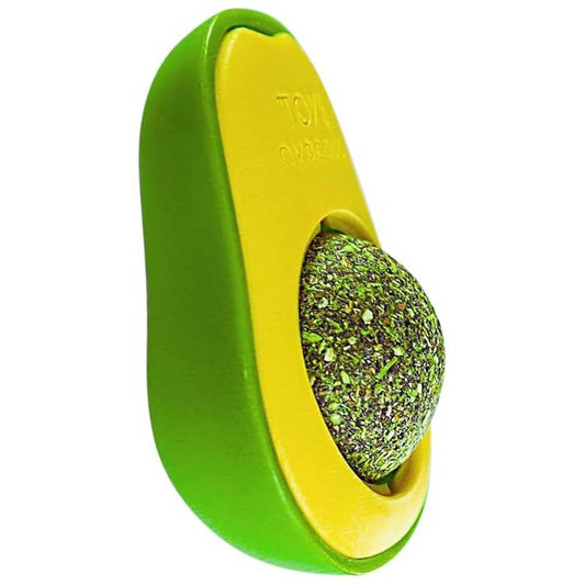 Abacate Catnip (Erva dos Gatos) - A Dose Diária de Felicidade e Euforia para o Seu Gato!