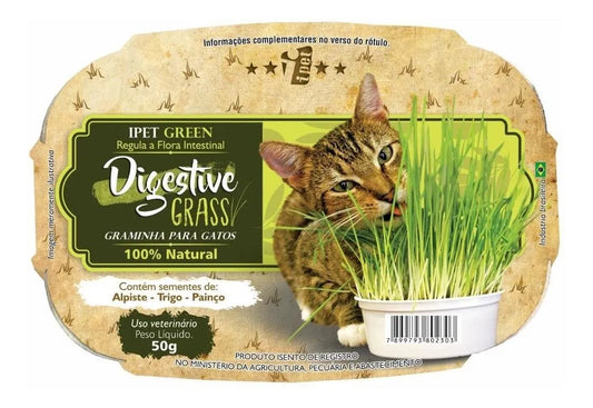 Grama para Gatos Digestive Grass (50g) - 100% Natural para Saúde Intestinal