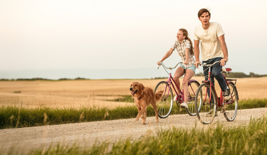 5 filmes que capturam a alma da conexão entre pessoas e pets