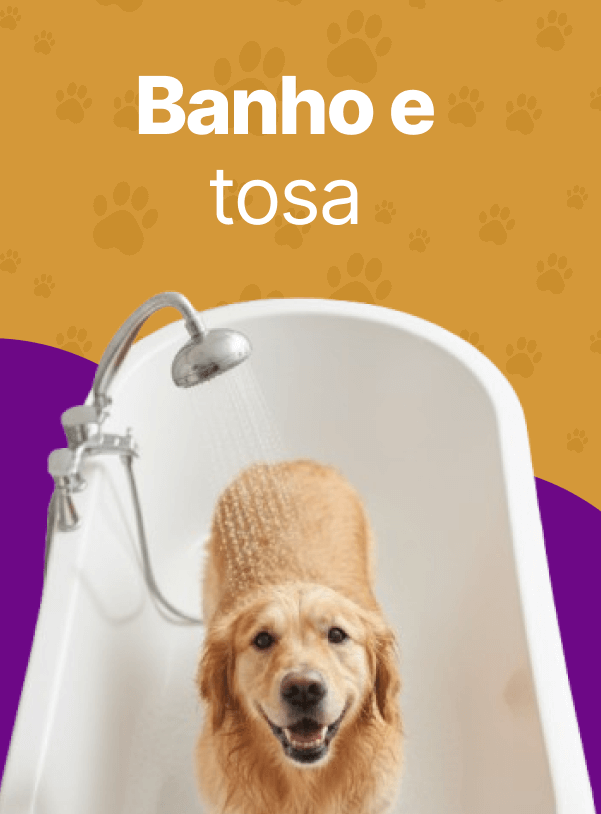 Banho e Tosa