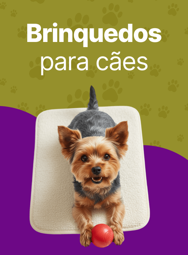 Brinquedos para Cães