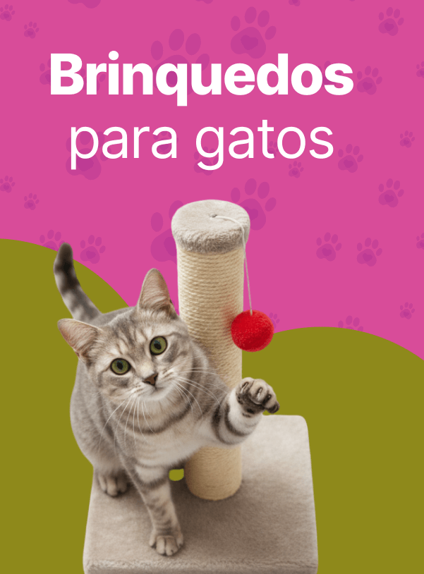 Brinquedos para Gatos