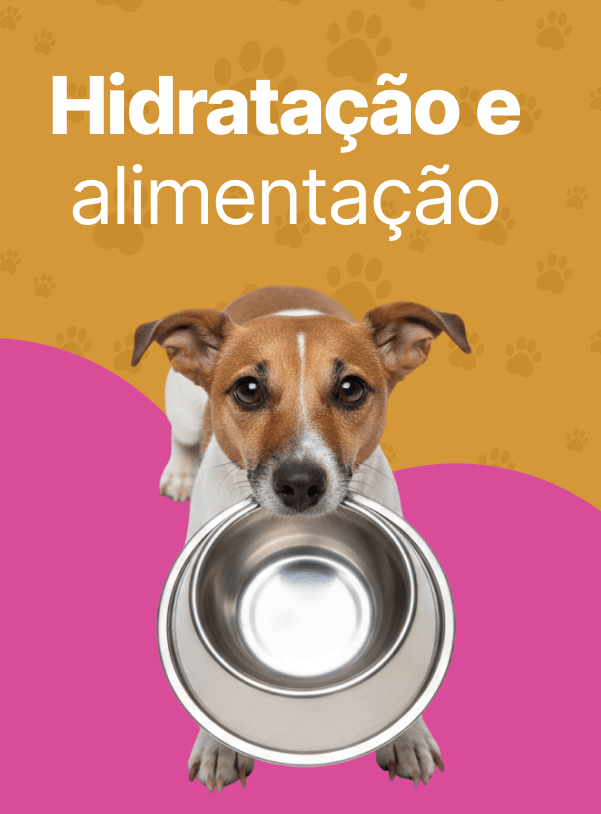 Alimentação e Hidratação