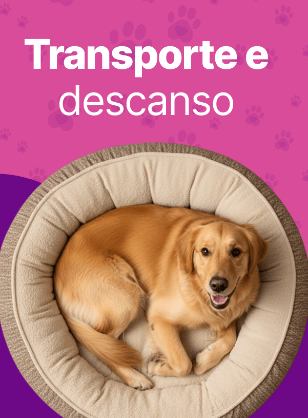 Transporte e Descanso