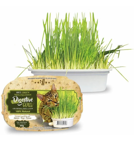 Grama para Gatos Digestive Grass (50g) - 100% Natural para Saúde Intestinal