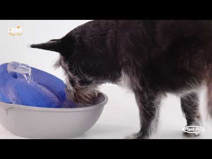 Bebedouro Fonte Para Gatos e Cães Petit Gold Vermelha - Água Fresca em Movimento