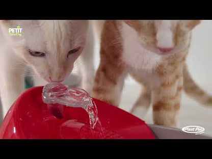 Bebedouro Fonte Para Gatos e Cães Petit Gold Vermelha - Água Fresca em Movimento